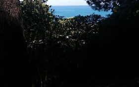 Punta Pispisa Scopello (sicily)